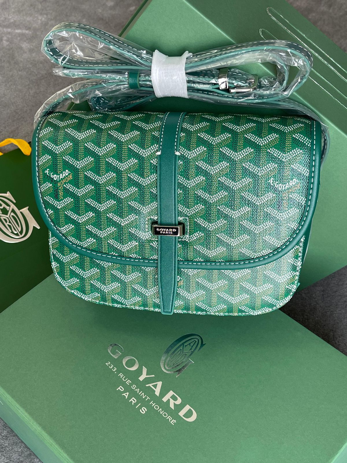 Goyard Belvedere PM Bag in Green Goyardine Canvas With Decize Taurillon