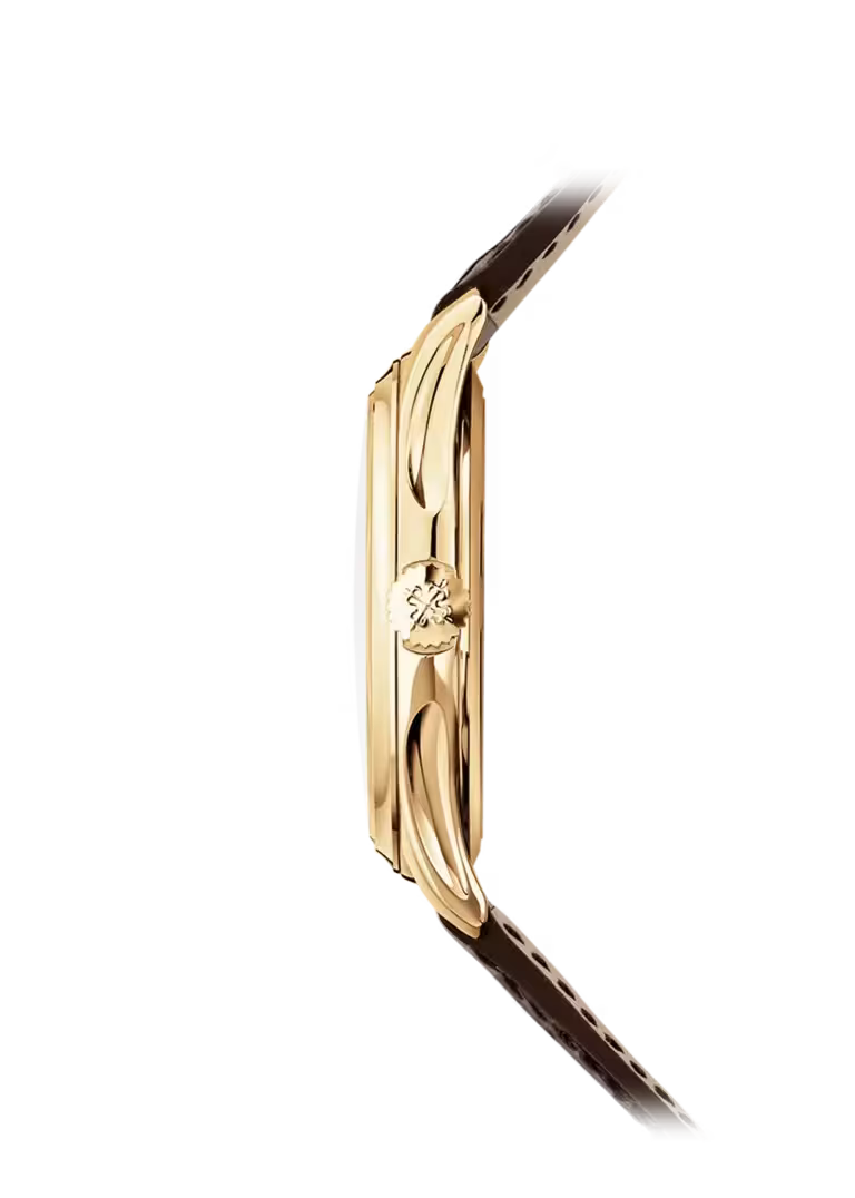 Calatrava automatique cuvette  5227J-001 | Patek Philippe