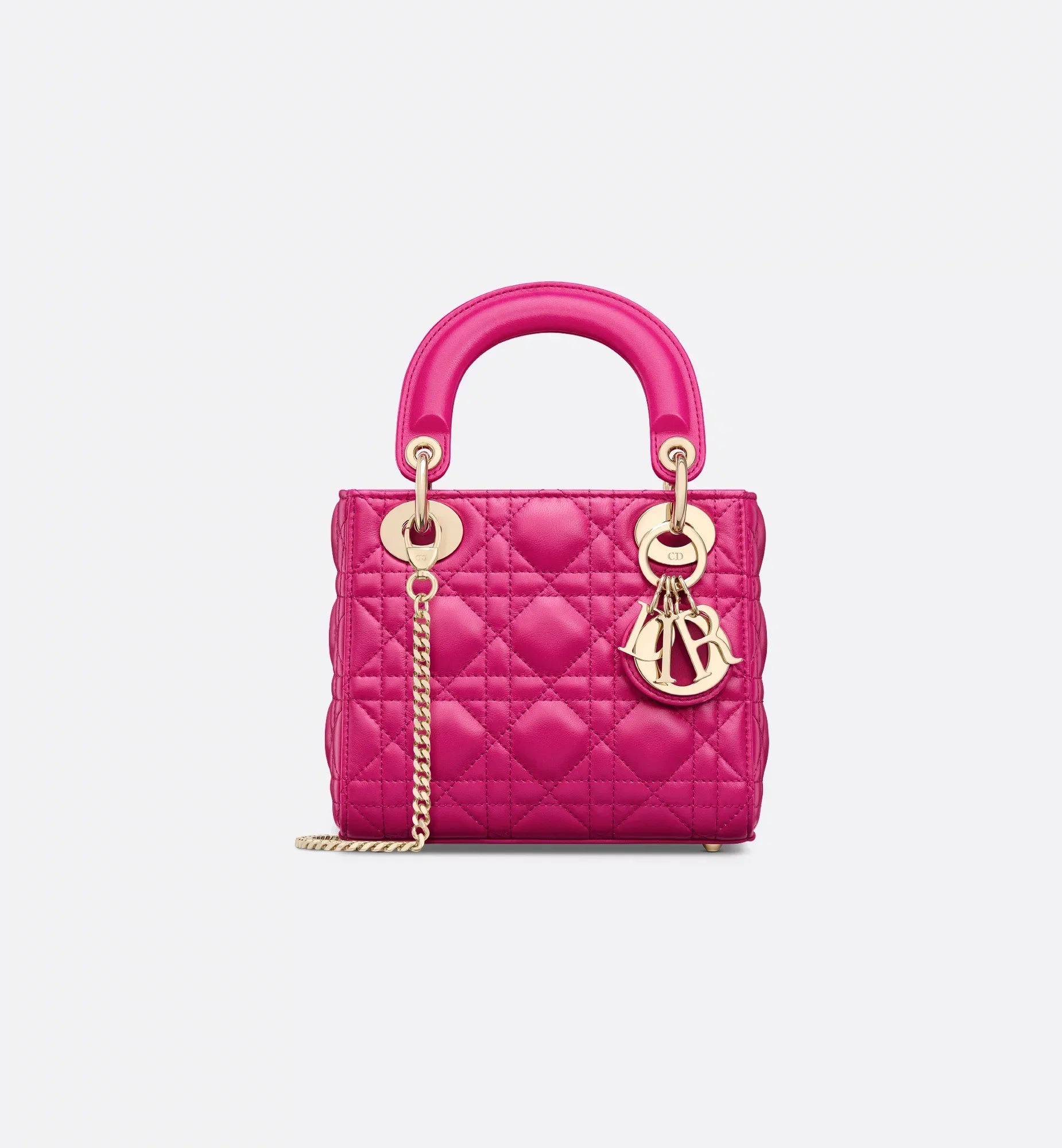 Mini Dioriviera Lady Dior Bag