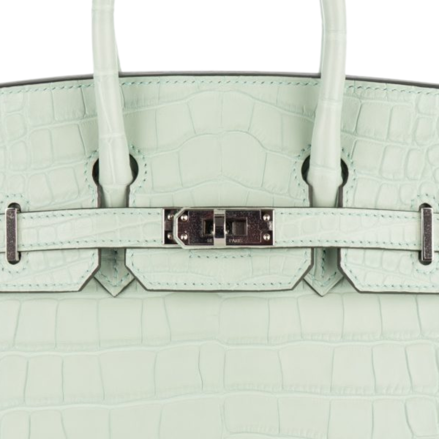 Hermès Bag | Birkin 25 Matte Alligator