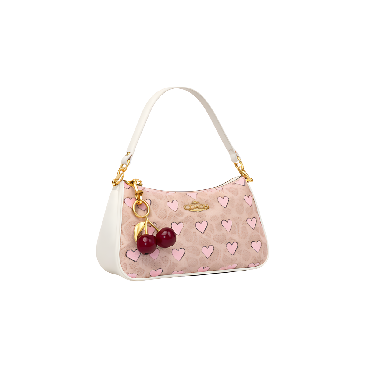 Coach Bag | Teri Shoulder Signature Canvas