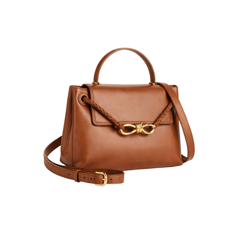 Bottega Veneta Bag | Small Ciao Ciao Top Handle Bag