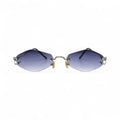 Cartier Glasses | Rimless Sunglasses Platinum Wires Sunglasses w/ Smoke Gray/blue Lenses