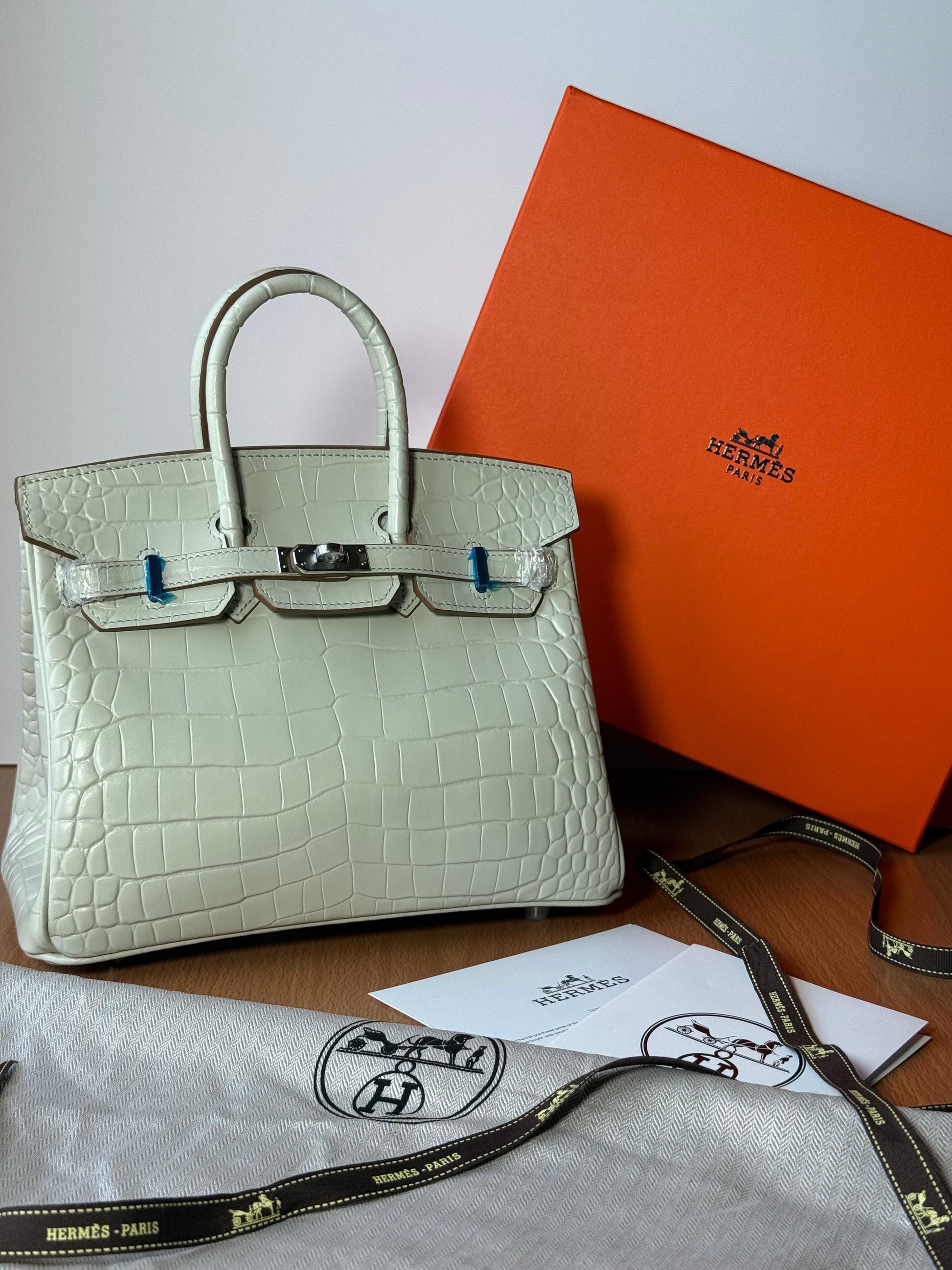 Hermès Bag | Birkin 25 Matte Alligator