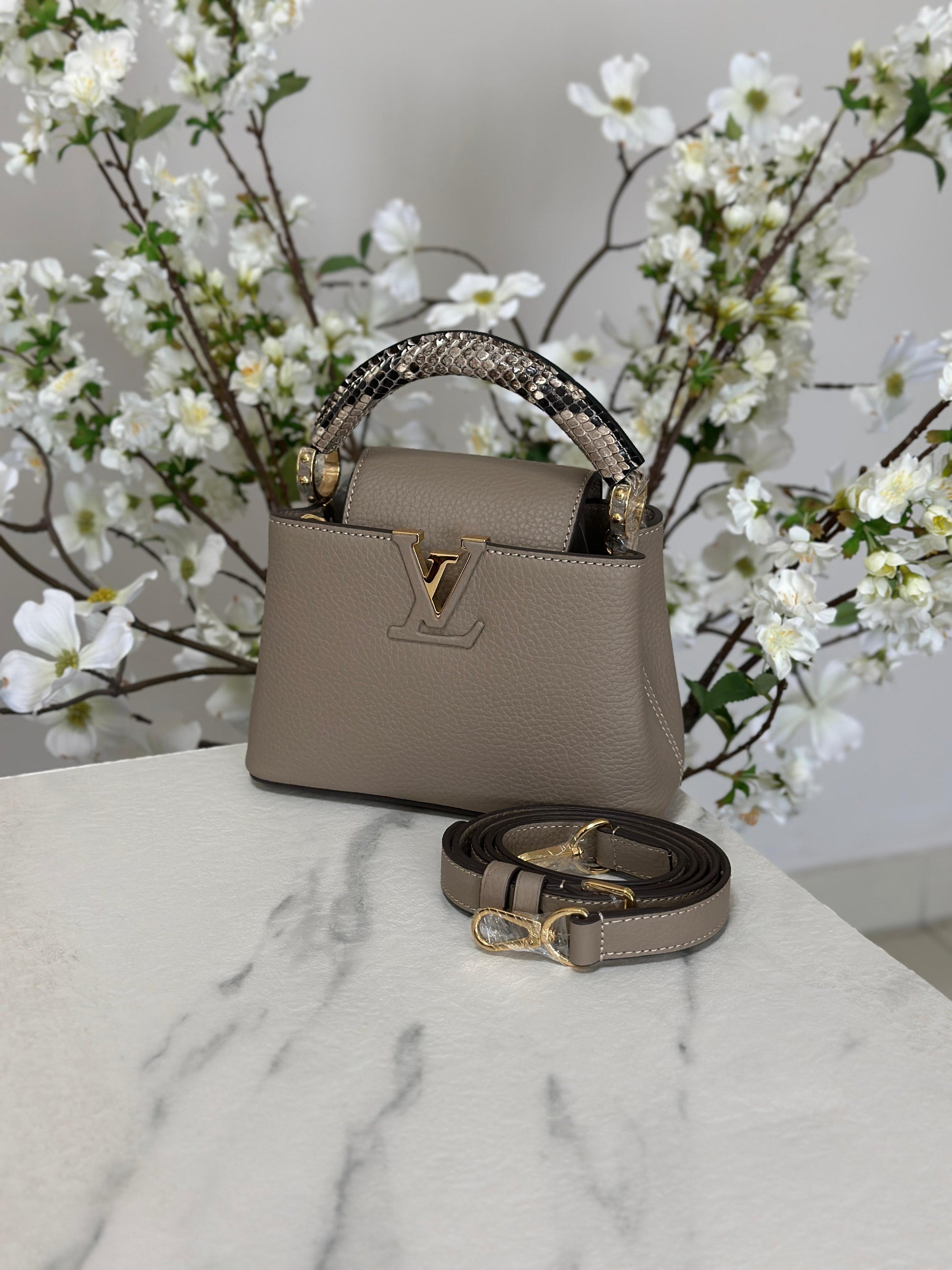 Louis Vuitton Bag | Capucines Gray Python
