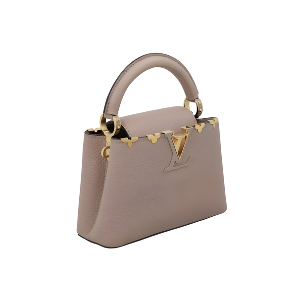 Louis Vuitton Bag | Capucines Gray