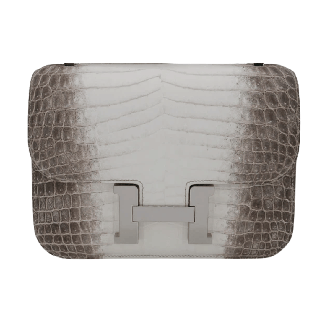 Hermès Bag | Constance Snake Croc