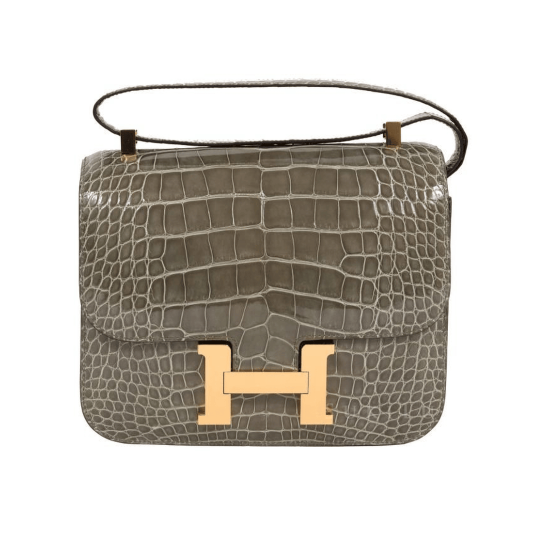 Hermès Bag | Constance Sandy Croc