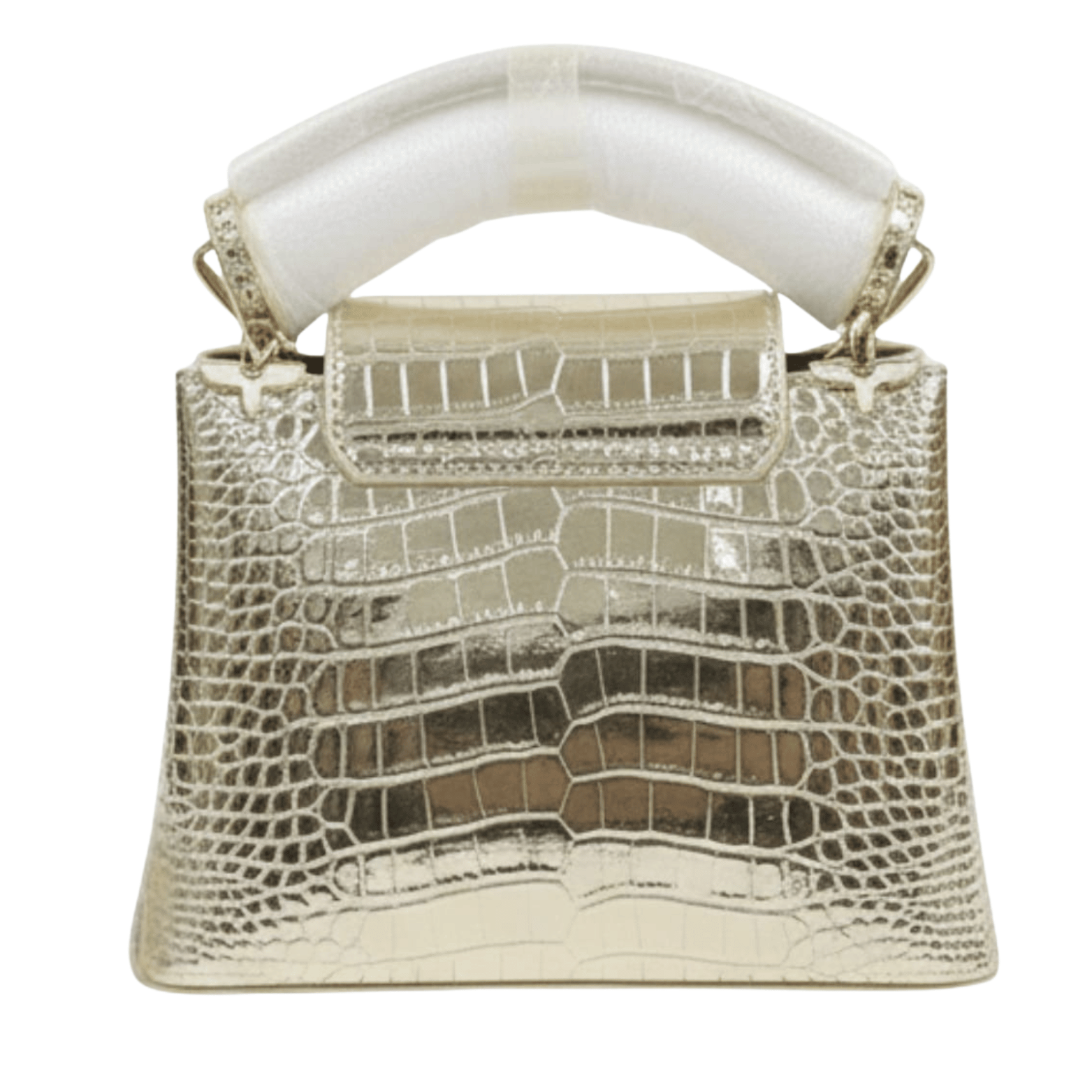 Louis Vuitton Bag | Capucines Lizard Leather