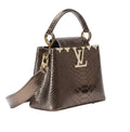 Louis Vuitton Bag | Capucines Metallic Python