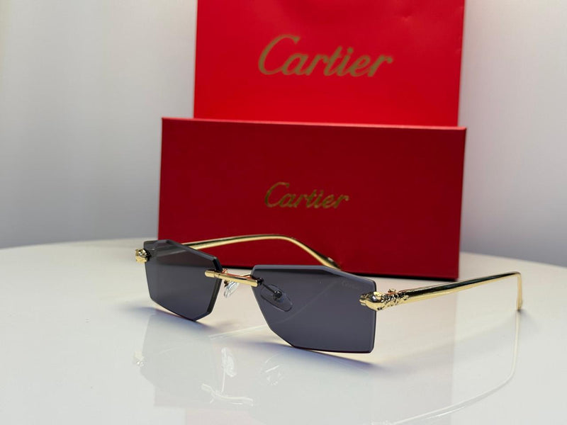 Cartier Glasses | Panthere de