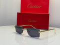 Cartier Glasses | CT0271S