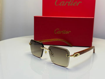 Cartier sunglasses appear to be the CT0609S