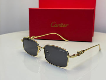 Cartier CT0501S