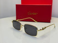 Cartier Glasses | Panthere de