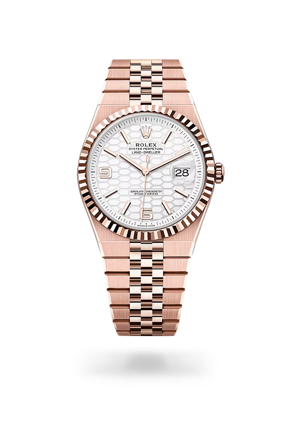 Rolex | Land-Dweller